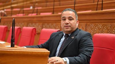 النائب هاني شحاتة: رفع الحد الأدنى للأجور خطوة لتحسين مستوى المعيشة.. ونطالب بزيادة المعاشات لتعزيز الحماية الاجتماعية - الخليج الان