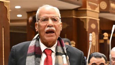 حزب العربي الناصري: توجيهات الرئيس السيسي بزيادة الأجور ورفع سعر القمح ترسيخ للعدالة الاجتماعية - الخليج الان