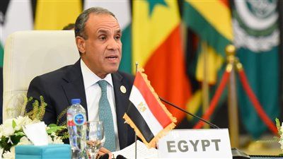 وزير الخارجية: مصر تستضيف أكثر من 10 ملايين لاجئ ومهاجر ويتمتعون بالخدمات الأساسية دون تمييز - الخليج الان