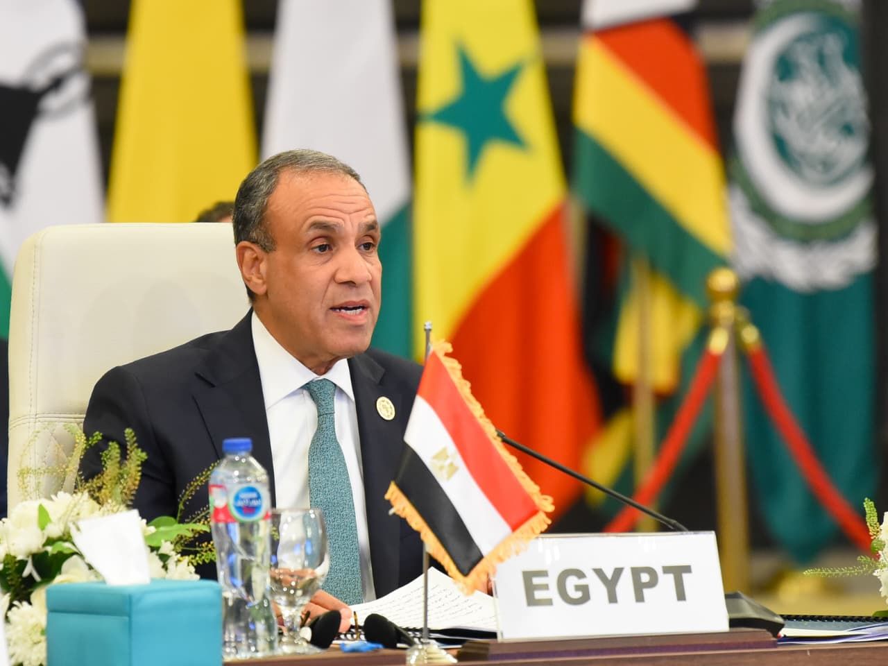 وزير الخارجية: مصر تستضيف أكثر من 10 ملايين لاجئ ومهاجر ويتمتعون بالخدمات الأساسية دون تمييز - الخليج الان