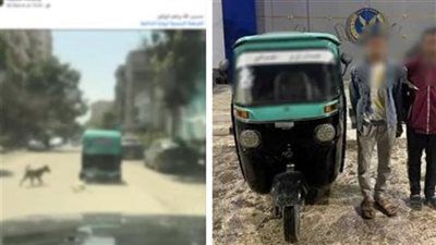 القبض على شخصين لاتهامهما بربط كلب نافق في توك توك من الخلف - الخليج الان