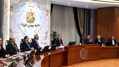 الوزراء: 16 مليار جنيه لتطوير شبكات الطاقة لاستيعاب المشروعات الجديدة - الخليج الان