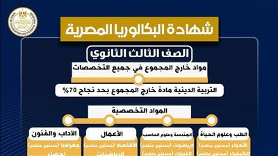 التحويل بين المسارات في البكالوريا 2026.. خبير تربوي يكشف التفاصيل الكاملة وشروط الجمع - الخليج الان