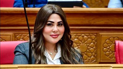 النائبة ولاء الصبان: حزمة الحماية الاجتماعية "انحياز حقيقي" من القيادة السياسية للمواطن في ظل التحديات العالمية - الخليج الان