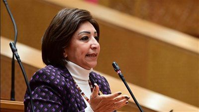 النائبة مهاعبدالناصر تتقدم بطلب إحاطة بشأن التأخر في التوسع في استخدام الطاقة الشمسية كبديل استراتيجي لأزمة الطاقة الحالية - الخليج الان