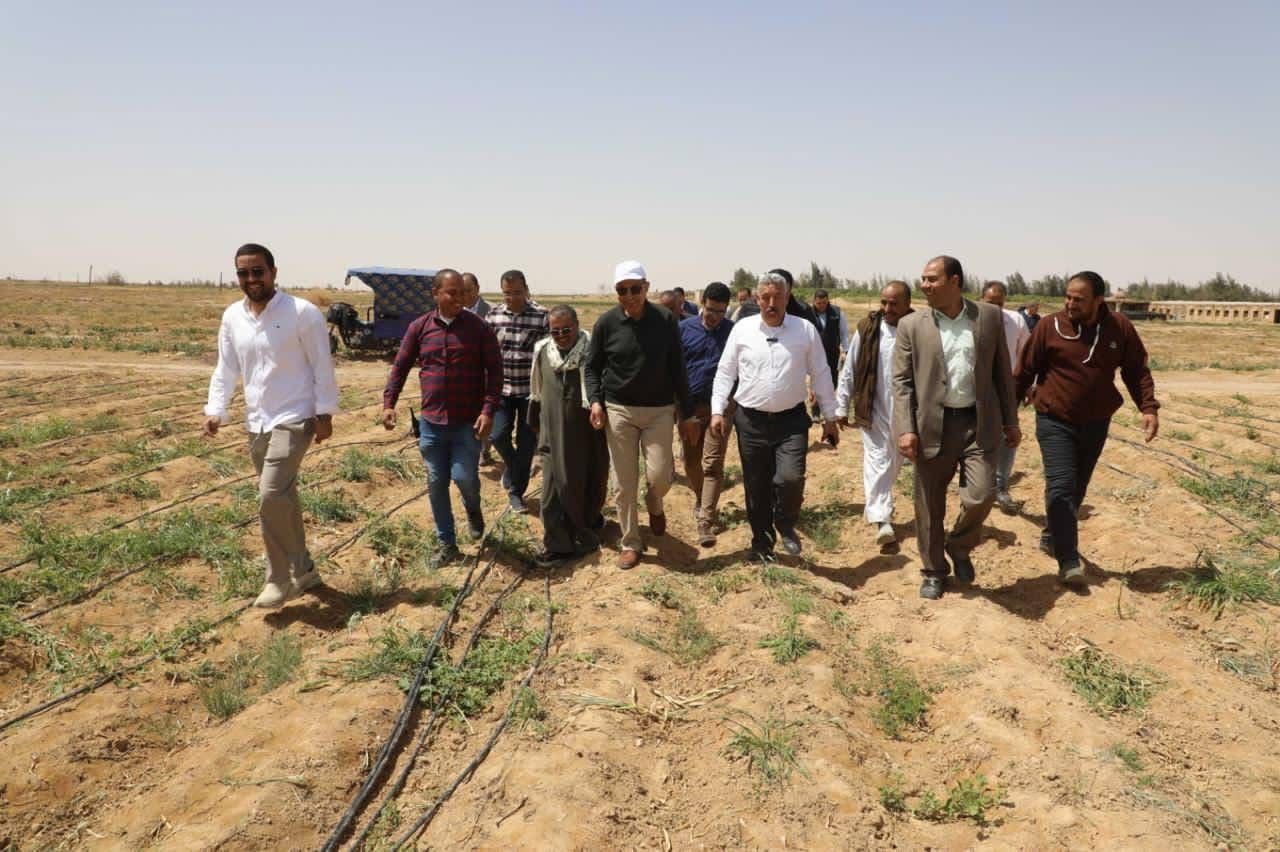 «ثوم المنيا» يكتب قصة نجاح جديدة.. المحافظ يشهد حصاد 18 ألف فدان ببلنصورة ويوجه بحزمة دعم عاجلة للمزارعين - الخليج الان