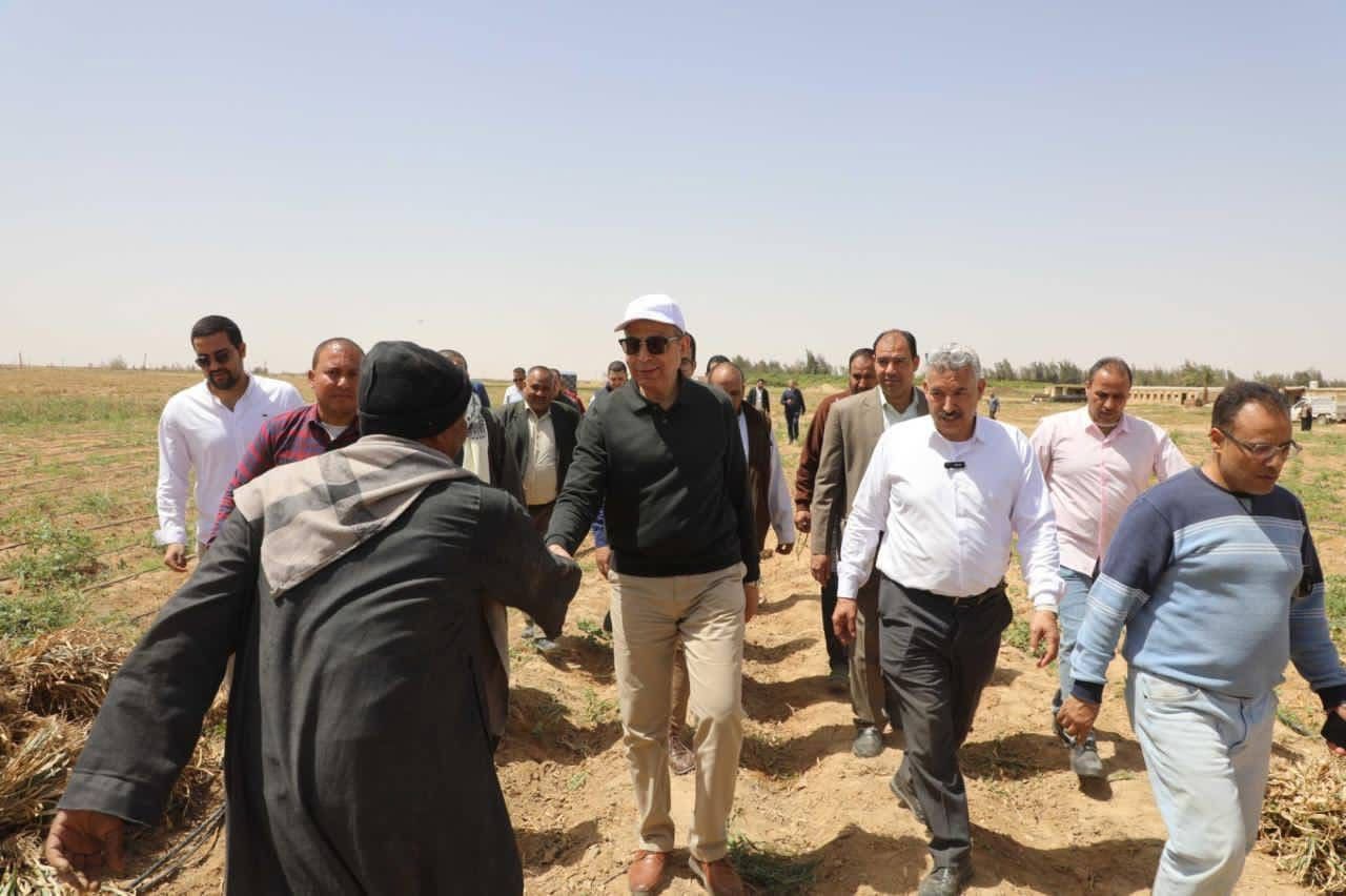 «ثوم المنيا» يكتب قصة نجاح جديدة.. المحافظ يشهد حصاد 18 ألف فدان ببلنصورة ويوجه بحزمة دعم عاجلة للمزارعين - الخليج الان