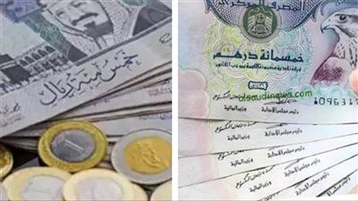 الريال السعودي والدرهم الإماراتي.. استقرار الأسعار - الخليج الان