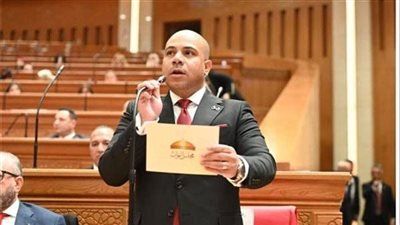 تحرك برلماني بشأن انتشار القمامة وتداعياتها على الصحة العامة والمظهر الحضاري - الخليج الان