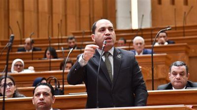 خاص| تليجراف الخليج ينشر نص مشروع قانون الإدارة المحلية المقدم من النائب عمرو درويش - الخليج الان