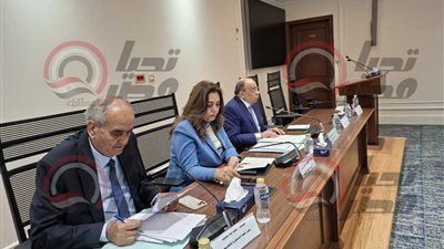 وزيرة التنمية المحلية: تشكيل لجان مشتركة بين الحكومة ومجلس النواب للنقاش حول مواد مشروع قانون الإدارة المحلية - الخليج الان