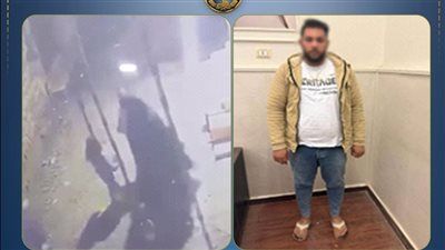 سيدة "أشمون" بريئة من خطف طفلتين.. والداخلية تكشف مفاجأة الفيديو المتداول - الخليج الان