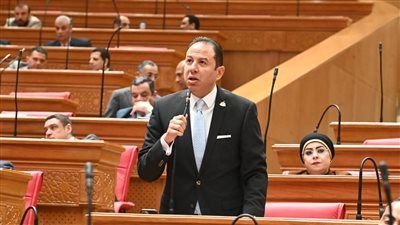 "لو عين الحكومة لا ترى عين البرلمان ترصد".. النائب حسن عمار يكشف لـ برلمان تليجراف الخليج حقيقة تهريب البترول من الموانئ البحرية - الخليج الان