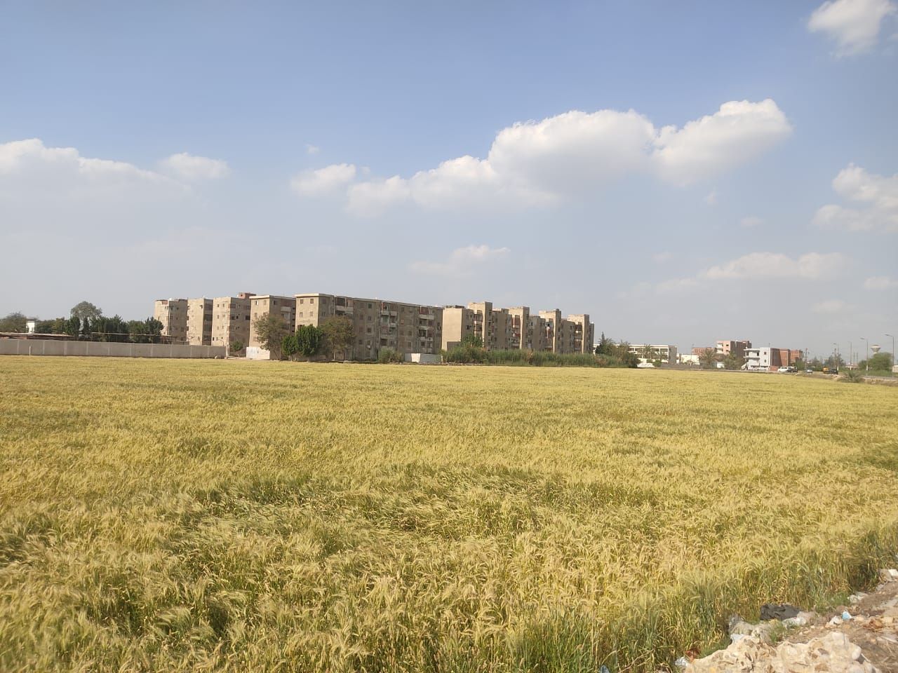 الشرقية.. الإنتهاء من إجراءات معاينة وتسليم قطعة أرض تمهيداً لإقامة مستشفى أبو حماد العام - الخليج الان