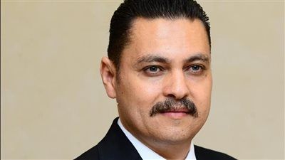 محمد همام: الممارسات الإيرانية تجاه دول الخليج تهدد استقرار المنطقة.. ومصر تدعم أشقاءها وترفض أي اعتداء - الخليج الان