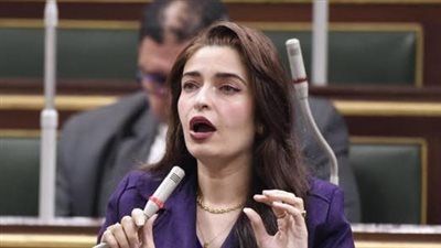 طلب إحاطة برلماني ينتقد تراجع الخدمات الصحية ونقص الأطباء في المستشفيات الحكومية - الخليج الان