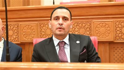 النائب إسلام التلواني: وقف إطلاق النار خطوة هامة لاحتواء التوترات الإقليمية بفضل الجهود المصرية - الخليج الان