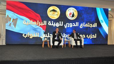 بحضور وزير المالية.. حماة الوطن يعقد الاجتماع الدوري للهيئة البرلمانية - الخليج الان