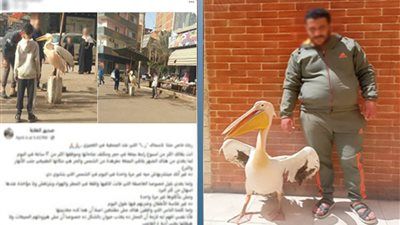 «ربط بجعة للإعلان».. ضبط صاحب محل أسماك استغل طائرًا لجذب الزبائن - الخليج الان