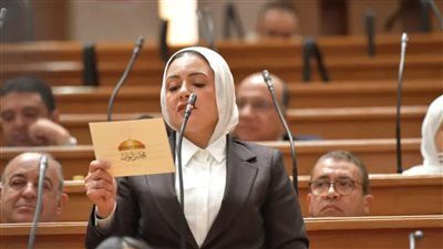 النائبة ريهام عبد النبي تتقدم بمقترح برغبة لحجب المواقع الإباحية في مصر - الخليج الان