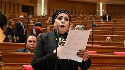 النائبة جيهان شاهين تُدين التصعيد الإسرائيلي تجاه لبنان وتُحذر من اتساع رقعة الصراع - الخليج الان