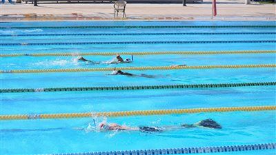 تدريبات بطولة العالم للاساتذة للسباحة بالزعانف 2026 بشرم الشيخ - الخليج الان