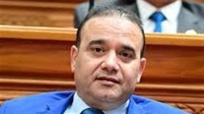 النائب ياسر عرفة: إعلان الحيز العمراني لقرى منشأة القناطر خلال شهر ونصف - الخليج الان