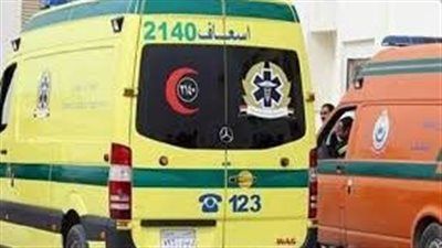 بيعدوا الطريق.. نقل تدهس 5 أشخاص وتفرّ هاربًا بأكتوبر - الخليج الان