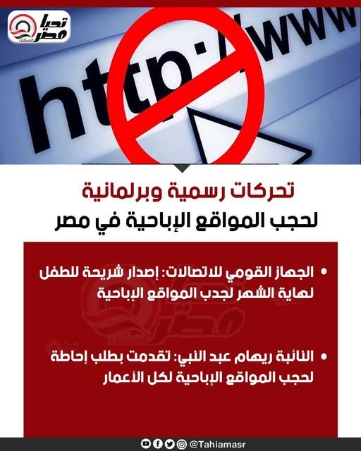 تحركات رسمية وبرلمانية لحجب المواقع الإباحية في مصر - الخليج الان