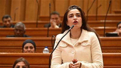 النائبة إيرين سعيد تتقدم بطلب إحاطة لحل أزمة الصرف الصحي بقرية عرب أبو عيد بالقليوبية - الخليج الان