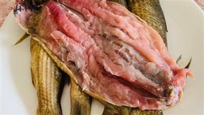 اعرف هتشتري بكام..أسعار الفسيخ والرنجة في مصر قبل شم النسيم 2026 - الخليج الان