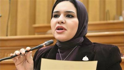 سؤال برلماني للحكومة بسبب عدم استخدام الطاقة الشمسية للمواطنين والمدن الجديدة - الخليج الان