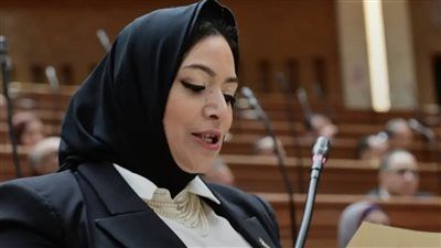 النائبة هبة نبيل تتقدم بطلب لإدخال الغاز الطبيعي إلى مدينة بسيون بالغربية لتخفيف الأعباء عن المواطنين - الخليج الان