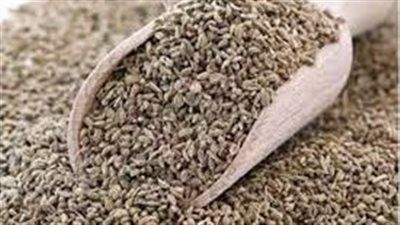 بعد الفسيخ والرنجة مشروب سحري ينقذ معدتك في شم النسيم ويطرد السموم فورا - الخليج الان