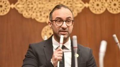 الحمامصي: قانون الأحوال الشخصية الجديد ضرورة لإنهاء معاناة الأسر - الخليج الان