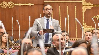 العمل به تطوعي لخدمة الدولة.. النائب أحمد الحمامصي يقترح إنشاء مجلس أعلى للأسرة - الخليج الان