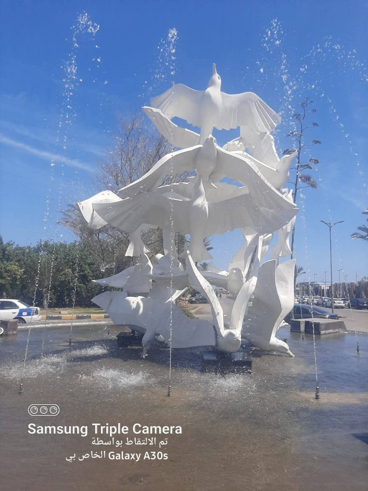 نافورة عدلي منصور تتألق استعدادًا لشم النسيم.. لمسة جمالية تعيد البهجة لحي الشرق ببورسعيد - الخليج الان