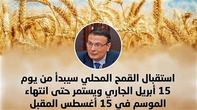 وزير الزراعة يعلن الاستعدادات النهائية لحصاد القمح: 2500 جنيه للإردب - الخليج الان