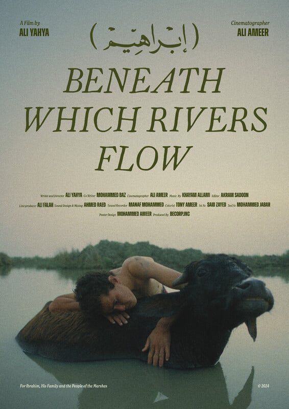 مهرجان الإسكندرية للفيلم القصير يعلن قائمة أفلام مسابقة الفيلم الوثائقي - الخليج الان