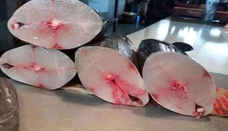 عدن.. بائعو الأسماك في الممدارة يشكون تسعيرة الصناعة ويطالبون برفع هامش الربح