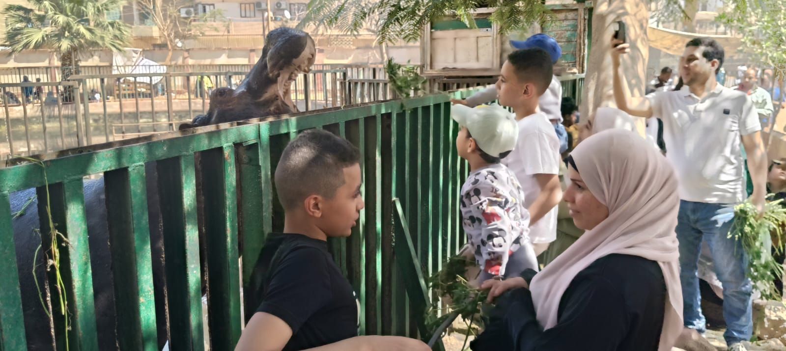 إقبال متوسط على حديقة الحيوان بالفيوم في شم النسيم.. وأجواء عائلية هادئة بعيدًا عن الزحام - الخليج الان