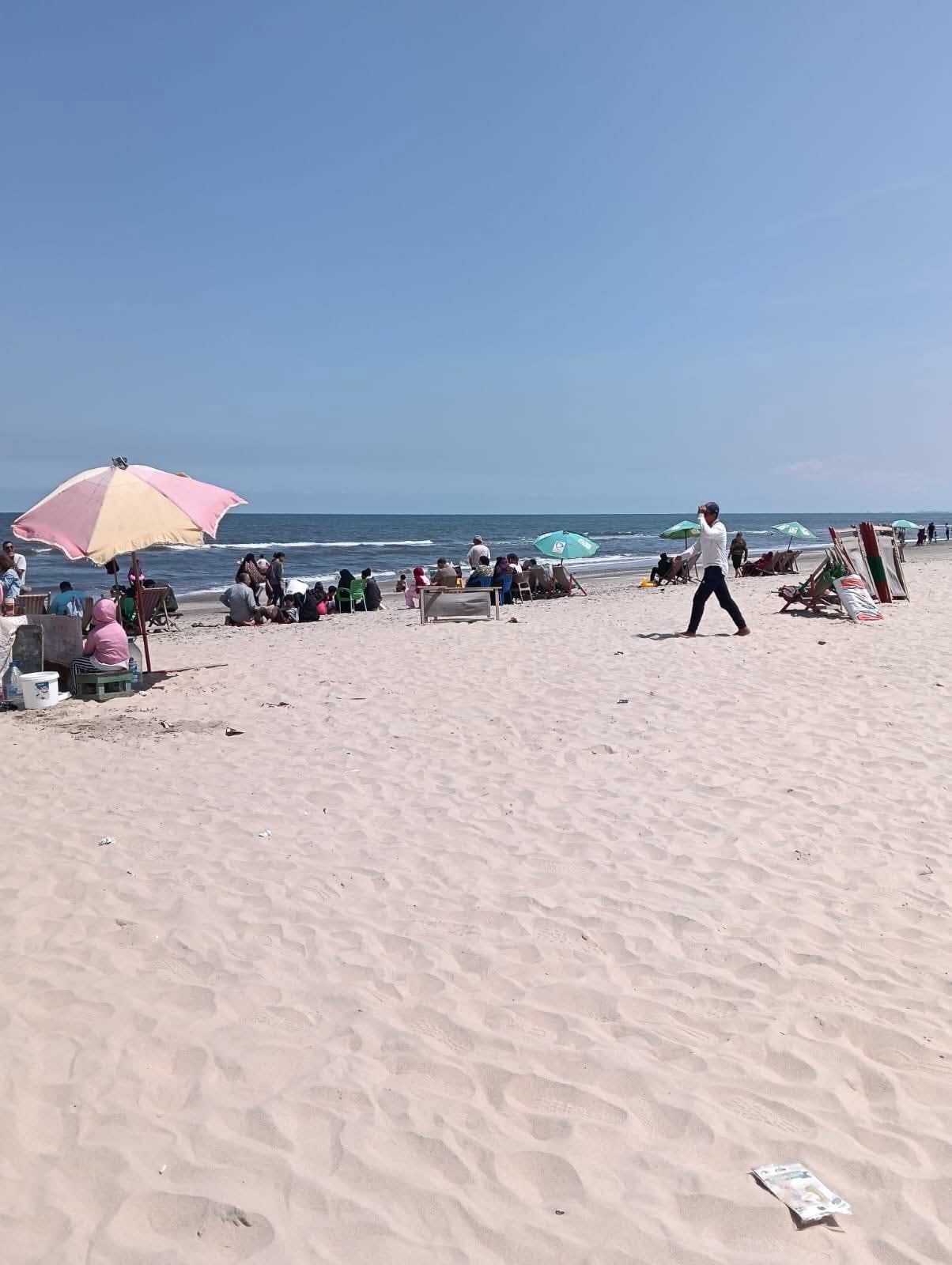 جمصه تحتفل بشم النسيم.. استقبال بالورود وجولات ميدانية لمتابعة الخدمات - الخليج الان