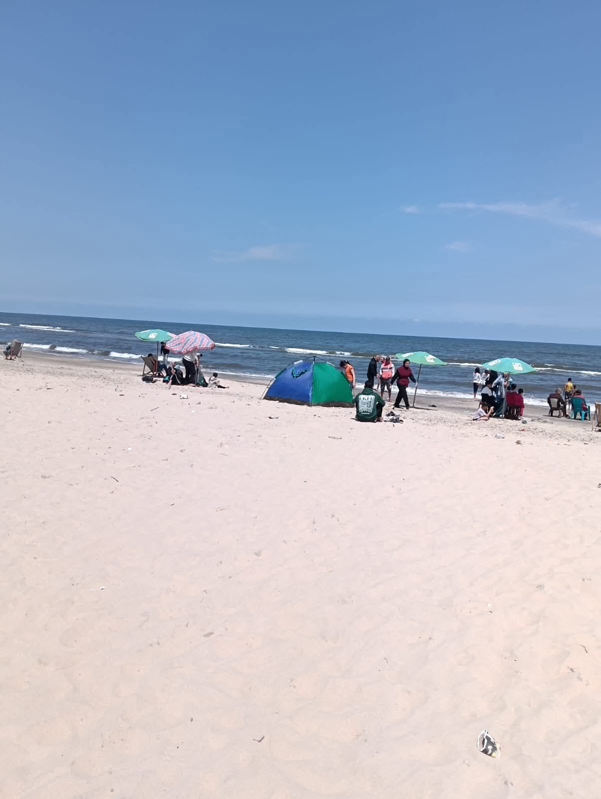 جمصه تحتفل بشم النسيم.. استقبال بالورود وجولات ميدانية لمتابعة الخدمات - الخليج الان