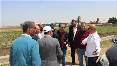 السكرتير العام لبني سويف يتفقد محطة البحوث الزراعية بسدس ويشيد بدورها في دعم التنمية الزراعية - الخليج الان