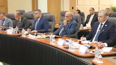 الكهرباء:مشروع "الضبعة" أحد محاور الاستراتيجية الوطنية للطاقة - الخليج الان