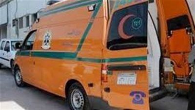 ننشر أسماء 8 مصابين في حادث ميكروباص مدق وادي العفاريت بالمنيا - الخليج الان