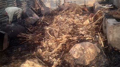 حريق يلتهم حظيرة وجهاز عروسة في قرية كفر جنزور بالمنوفية - الخليج الان