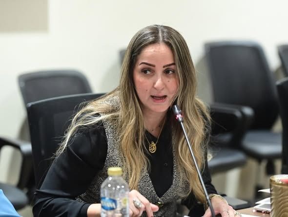 النائبة لبنى عبد العزيز: حماية الوعي لا تقل أهمية عن حماية الحدود.. وخطة مطلوبة لتطوير الخطاب الإعلامي - الخليج الان