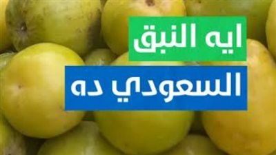 كيف تحوّل «تفاح الغلابة» إلى حكاية كفاح تُباع في الأسواق؟ - الخليج الان