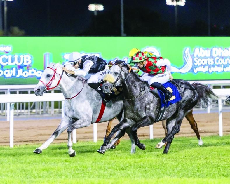 النسخة الـ 33 لكأس رئيس الدولة للخيول تعلن أجندتها العالمية